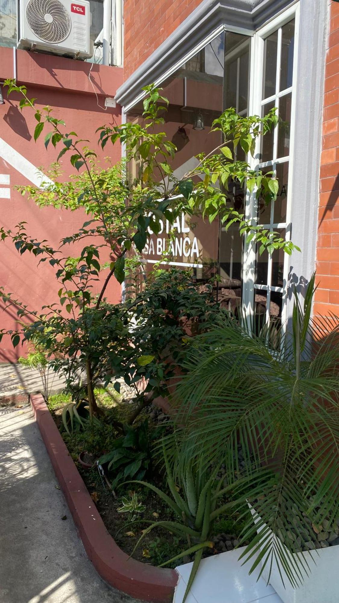 Hostal Casa Blanca ปวยร์โตฟรานซิสโก เด โอเรยานา ภายนอก รูปภาพ